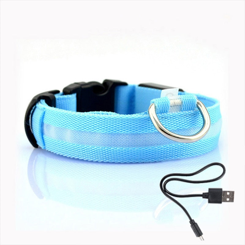 Pup Collar® Led