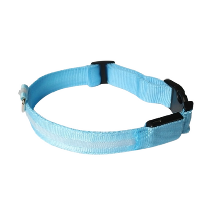 Pup Collar® Led