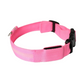 Pup Collar® Led