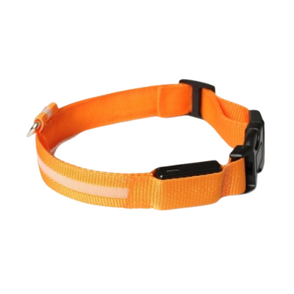 Pup Collar® Orange