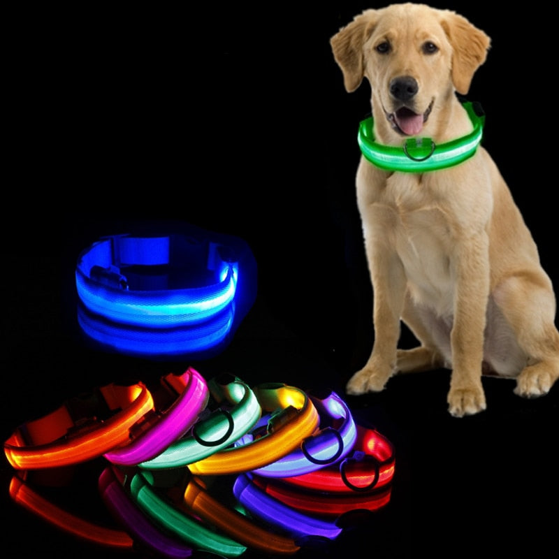 Pup Collar® Led