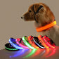 Pup Collar® Led