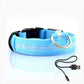 Pup Collar® Blue