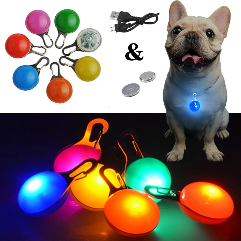 Pup Light® Colored