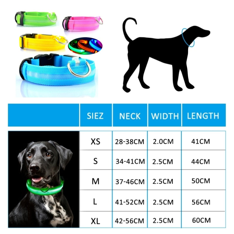 Pup Collar® Led